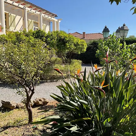 Villa La Provence Hyeres Exterior photo